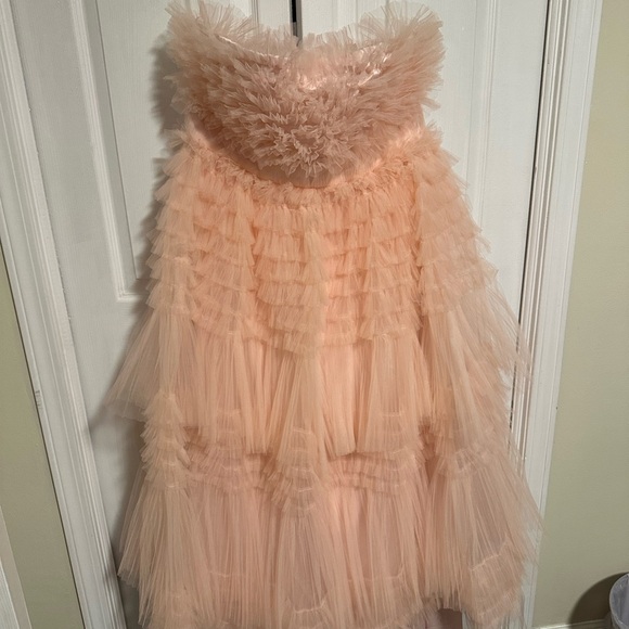 AKIRA Blush Tulle Women’s Dress - Picture 4 of 4